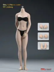 TBLeague PLMB2018-S25B 1/6 Seamless Suntan Skin Steel Figure Female Body Toy