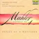 80499 馬勒_第4號交響曲、流浪青年之歌 Mahler:Symphony No.4/Songs of A Wayfarer