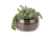 Rogue Artificial Succulent Mix in Scarlett Bowl Fake Indoor Potted Plant 22x27cm