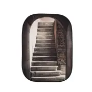 Lastolite Urban Collapsible Background 1.5x2.1m Stone Step / Winter Trees