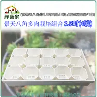 在飛比找Yahoo奇摩購物中心優惠-【綠藝家】景天八角多肉栽培組合3.5吋(4號)(含景天八角盆