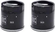 Oil Filters For Z750 ZR750 07-12 Z750R Z750S ZX750 ZXR750 89-95 VN800 Vulcan 95-02 W800 EJ800 Z800 Z800e ZR800(2PC)