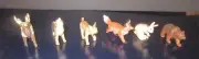 Vintage Safari Collection Forest Animals