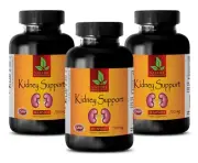 metabolism pills - KIDNEY SUPPORT COMPLEX - antioxidant and immunity 3B