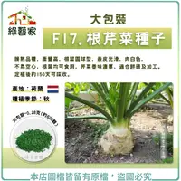 在飛比找Yahoo奇摩購物中心優惠-【綠藝家】大包裝F17.根芹菜種子0.28克(約620顆)