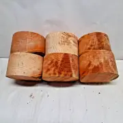6 Red Alder Wood Turning Bowl Blanks