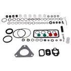 Fuel Injection Pump Kit 7135110 for Massey Ferguson and Case For Tractors