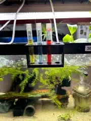 API Test Tube Holder for Aquariums Fish Tanks Drying Rack for Test Tubes