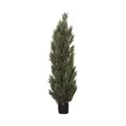 Glamorous Fusion Cypress Pine 150cm Artificial Faux Plant Tree Decorative In Pot