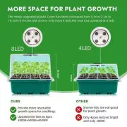 5pcs Pack Seedling Tray with Grow Light Plant Seed Starter Trays Greenhouse Kit