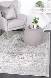 Appearance Oriental Grey Rug