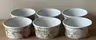 Set of 6 Vintage Pillivuyt Floral Ramekins Pots de Creme