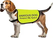 Anxious Dog Jacke Vest Respect My Space Dog Vest Dog Walking Slogan Warning Vest (Anxious Dog Space-Large)