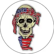 Slipmat Slip Mat Scratch Pad Felt for Any 12" LP DJ Vinyl Turntable Record Player Custom Graphical - Flag USA Skull