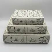 3PC PUNCH STUDIO SPIRIT OUIJA BOARD FAUX BOOKS STASH BOXES HALLOWEEN PROP DÉCOR