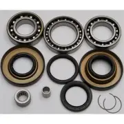 All Balls Rear Differential Bearing and Seal Kit 25-2012