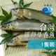 【金海昌水產】台灣宜蘭爆卵母香魚1入(180g/隻)