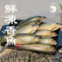 在飛比找momo購物網優惠-【蝦拼海鮮】宜蘭公香魚｜8P/盒