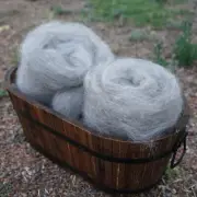 Carded Alpaca wool Light Grey, 80g, hand carded 100% Australian fibre