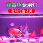 魚缸燈照明燈LED防水三色潛水燈LED七彩變色可遙控水族箱水草照明