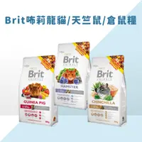 在飛比找蝦皮購物優惠-Brit咘莉 優質鼠糧 天竺鼠 倉鼠 龍貓 絨鼠 小動物 鼠