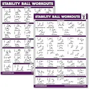 Palace Learning 2 Pack - Yoga Ball Workout Exercises Volume 1 & Volume 2 - Stability Ball Routine - Fitness Charts