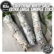 Pack of 3 California White Sage Extra Large 8 Inches Smudge Stick Wild Harvested