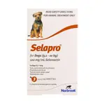 Selapro Flea & Worming Spot On Treatment 5.1-10kg Dog - 6pk
