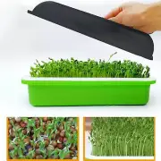 Tray Bean Sprouts Sprouting Container Kit for Indoor Gardening