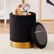 AKWFUNZ Wooden Chair Multipurpose Modern Storage Chair for Living Room Bedroom