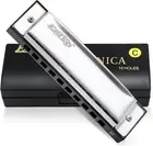 Harmonica 10 Holes Silver Blues Diatonic Harmonica Mouth Organ Key of C for Kids
