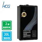 和成HCG 數位 恆溫 強制排氣 熱水器 20L 天然 GH2055N 合格瓦斯承裝業 桃竹苗免費基本安裝