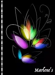 Password Web Address Book Light Show