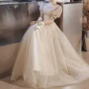 Puff-Sleeve Glitter Mesh A-Line Gown (Various Designs) FF673 - Lace Up - Champagne - XS