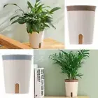 Self-Absorbent Home Self Watering Planter Flower Pot Plant Container Plant Pot