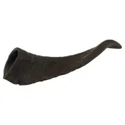 Watch & Grow Dog Treat Goat Horn Large