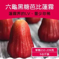 在飛比找momo購物網優惠-【農頭家】高雄六龜黑糖芭比蓮霧12-15顆5斤裝x1盒(巨無