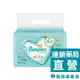 Pampers 幫寶適 一級幫嬰兒濕紙巾 56抽x2包入【新高橋藥局】家庭必備 濕紙巾 濕巾