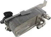 BGBLKLGPPN Transmission Oil Cooler with Base 17217593856 Compatible with BMW X3 X4 2.0L 3.0L 11-16 17217593856,7593856,17 21 7 593 856 Oil Cooler
