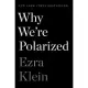 Why We’’re Polarized