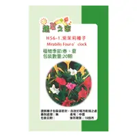 在飛比找PChome24h購物優惠-【蔬菜工坊】H56-1.紫茉莉種子