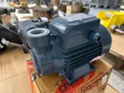 Peripheral 1PH Pedrollo Booster Water Pump PQm65 65-50/60 60HZ 0.7HP