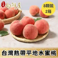 在飛比找momo購物網優惠-【金澤旬鮮屋】8顆x2箱 台灣平地水蜜桃(1kg/箱_熱帶桃