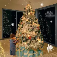 在飛比找蝦皮購物優惠-聖誕節聖誕樹裝飾 1.5米1.8米2.1米2.4米聖誕樹 加