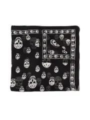 Alexander Mcqueen Silk Lightweight Skull Print Scarf
