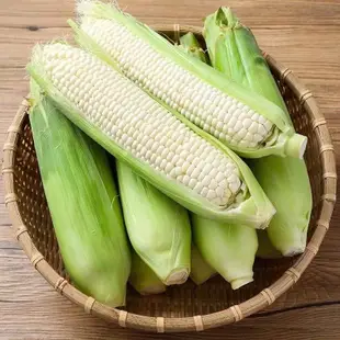 爆款新品⚡白龍王玉米種子⚡白玉米種子 玉米種子 水果玉米種子 糯玉米種子 甜玉米種子 爆漿玉米 蔬菜種子 種子  可生吃