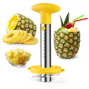 Pineapple Corer and Slicer Tool, Pineapple Cutter and Corer, Stainless Steel ...