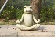 Zen Frog Statue-Frog Figure Home Decor Yard Lawn Display Resin Garden Statue