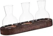 INOOMP 1 Set Desktop Glass Planter Hydroponic Container Clear Glass Vase for Flower Base Creative Decoration for Home Office and Cafes Effortless Plant Growth Display