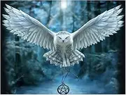 XiangJunly 5D DIY Diamond Art Painting Kits Full Drill for Kids Adults,Rhinestone Embroidery Crystal Cross Stitch Arts and Crafts Canvas Painting by Numbers as Gifts for Home Wall Decor (Owls)